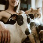 7 Benefits Of Pets For Human Health And Wellbeing