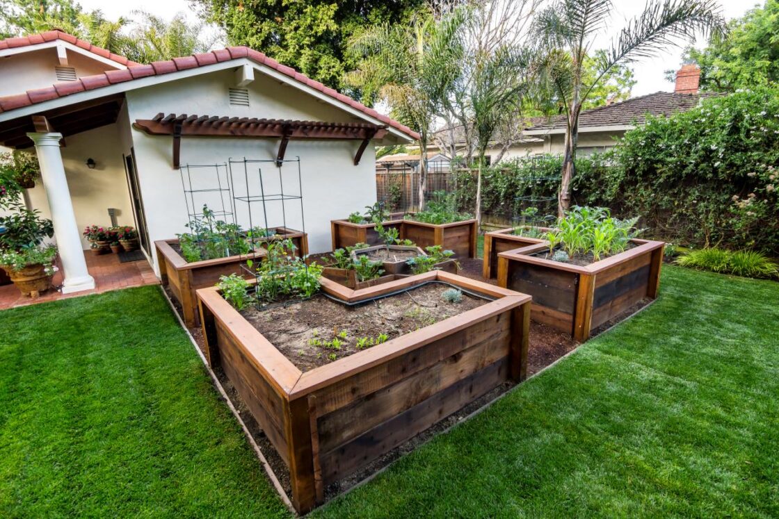improve garden