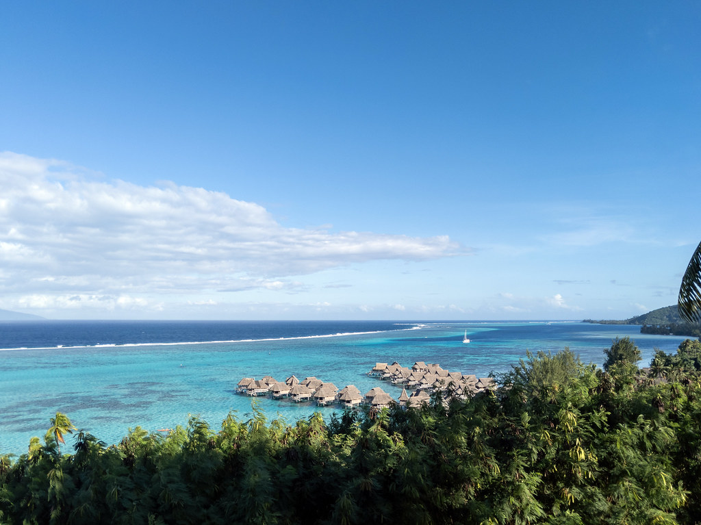 Unveiling French Polynesia’s Enchanting Overwater Bungalows