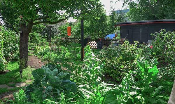 Permaculture Gardening: Exploring Sustainable Cultivation