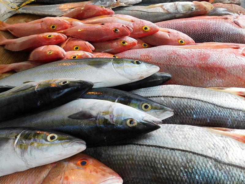 Sustainable Seafood: Protecting Our Oceans
