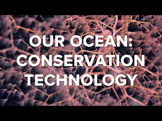 Ocean Conservation Technology: What’s the Next Big Splash?