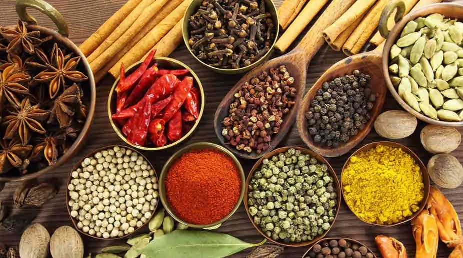 Authentic Indian Spices Guide: A Journey Into Exotic Flavors